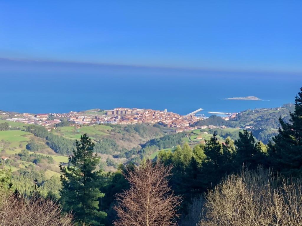 Taraska I Apto Renovado En Centro Neuralgico Apartment Bermeo Luaran gambar